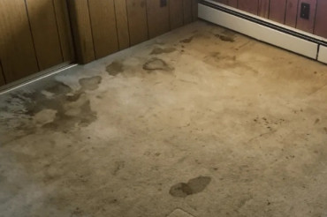 How To Clean, Remove Stains And Protect Carpets In High Traffic Areas